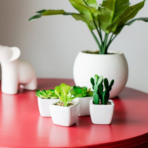 Set of 4 Artificial Succulent Planter Pots - Picture 2 of 5